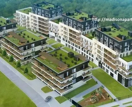 Szamocka
